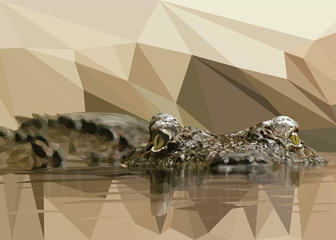 Low Poly Crocodile