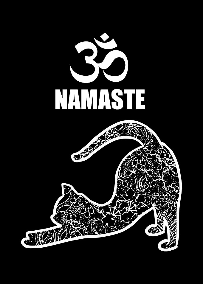 Namaste Downward Cat Asana
