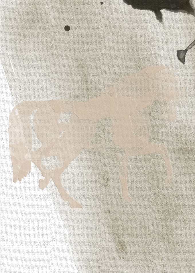 Animal 5