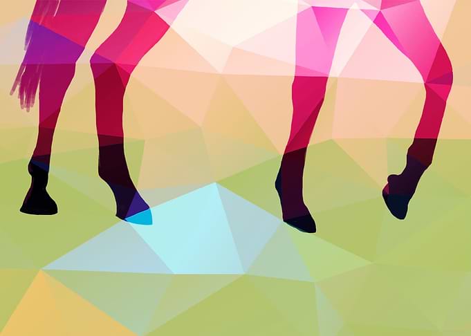 leggy horse bokeh