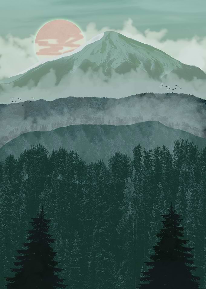 Misty Forest tq