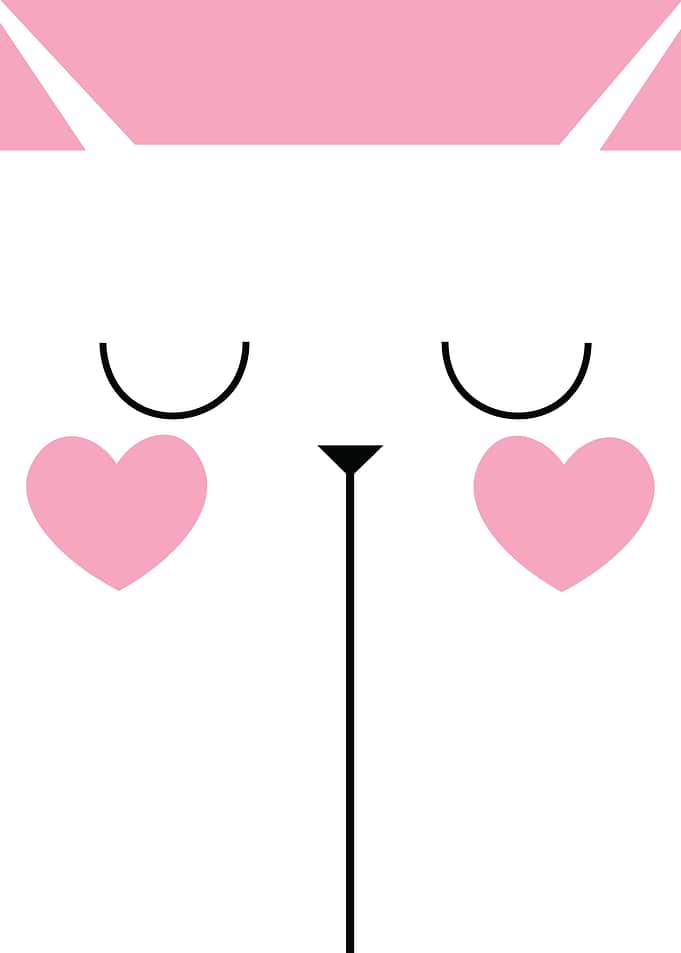 Cat face