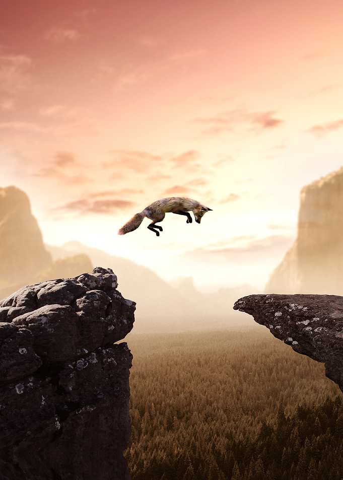 The Jumping Fox
