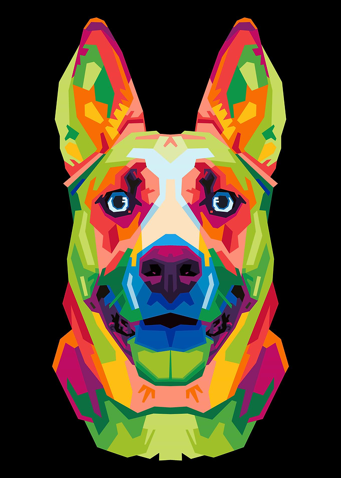 colorful dog on pop art