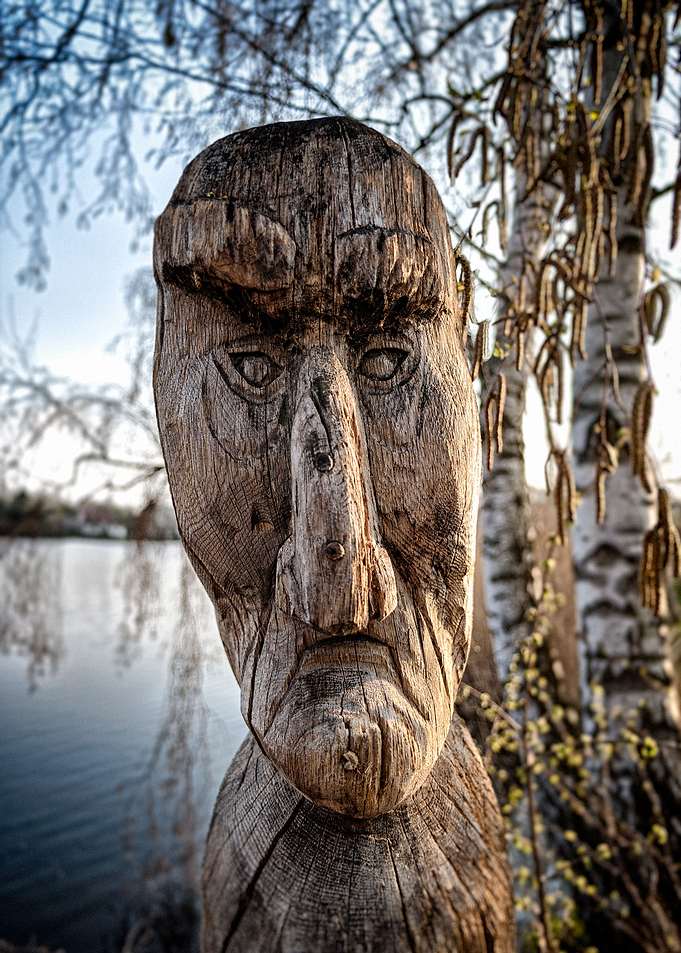 Gifhor Wood Faces II