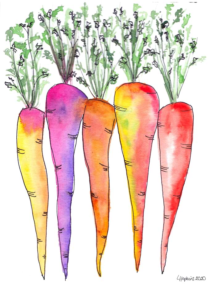 heritage colourful carrots