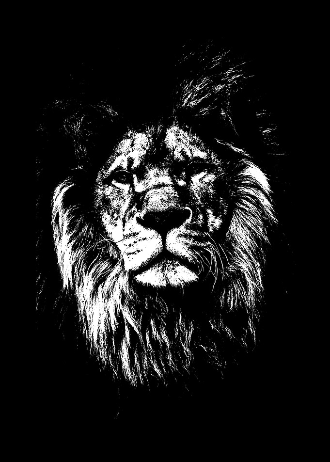 Animal Painting Lion