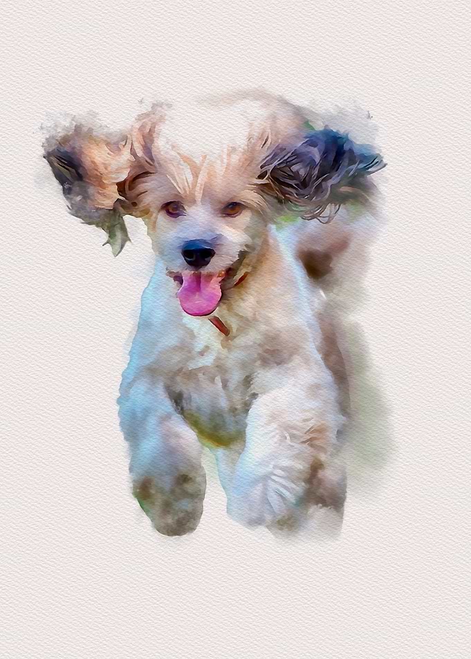Happy Puppy
