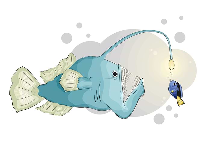 Anglerfish from the abyss