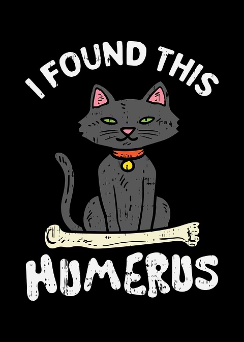 Found This Humerus Cat