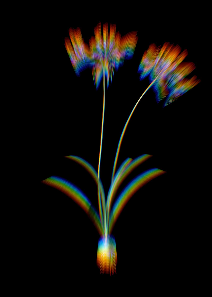 Prism Nerine