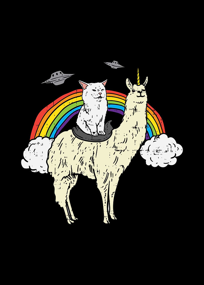 Cat On Llamacorn Meme