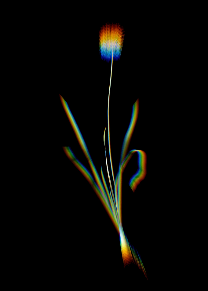 Prism Mouse Garlic