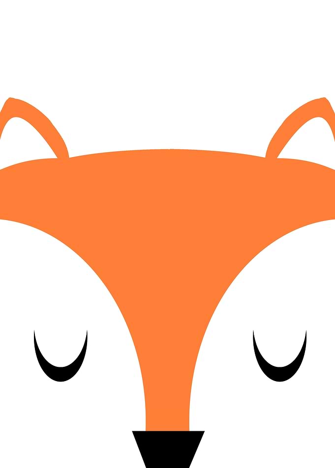 Little fox