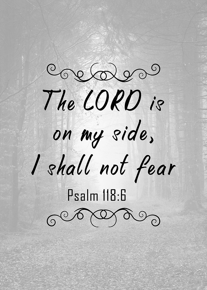 Psalm 118 6