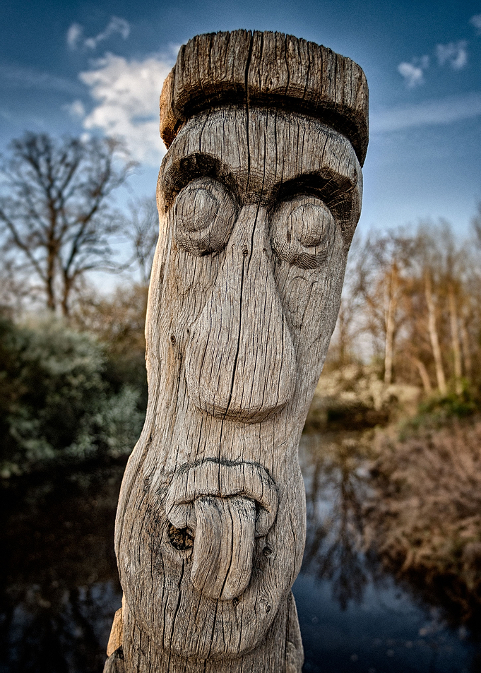 Gifhor Wood Faces XI