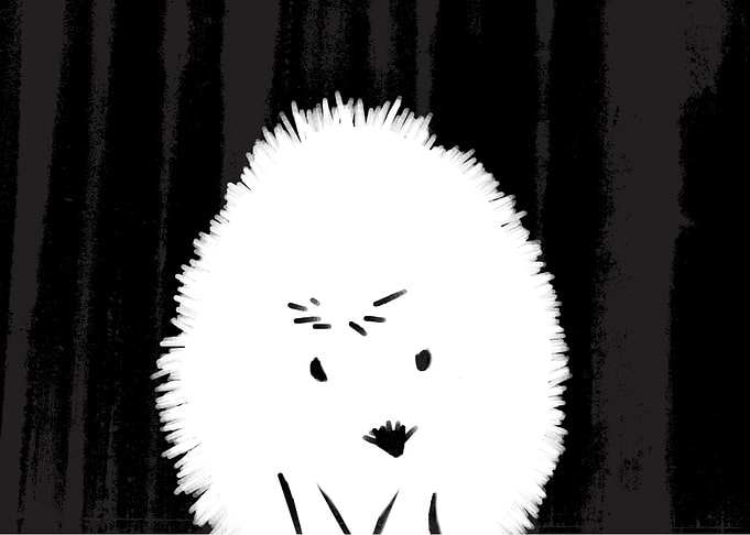 hedgehog