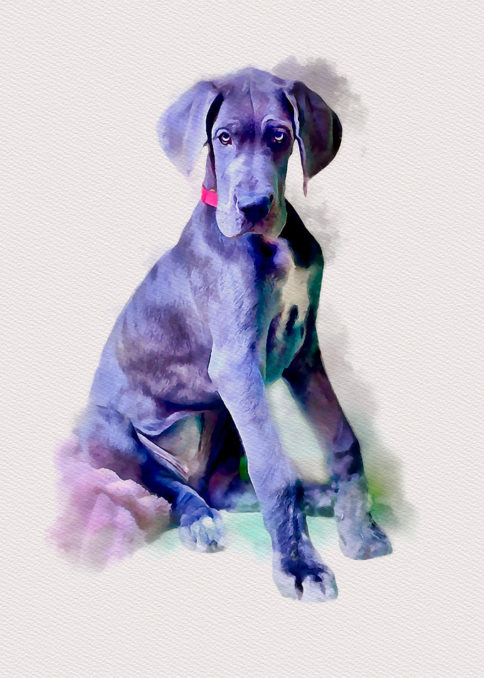 Cute Dog Puppy