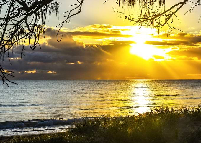 Golden Sunrise