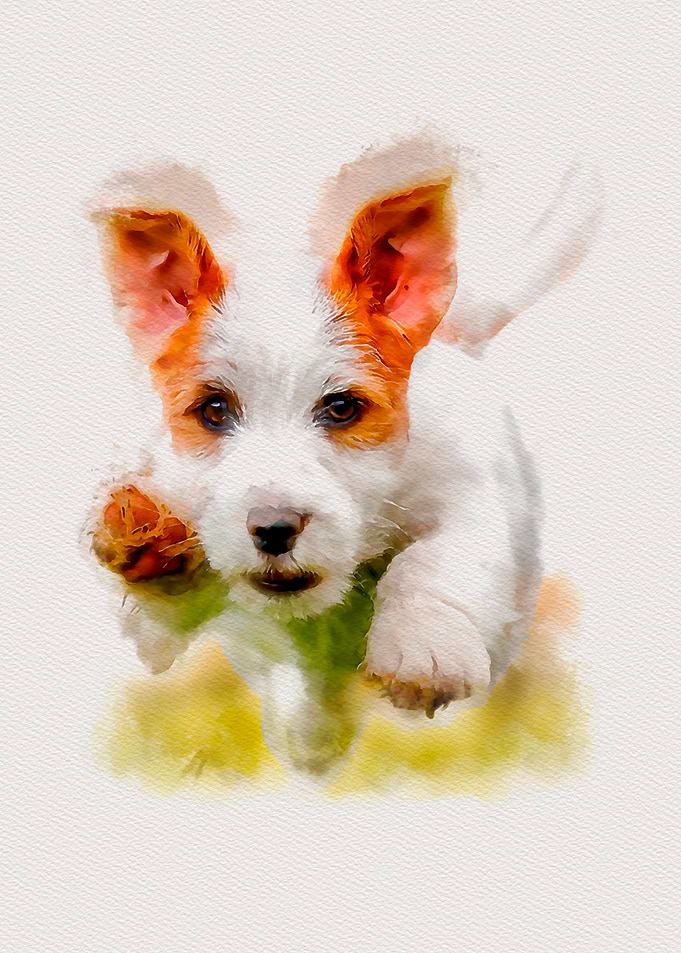 Little Doggie