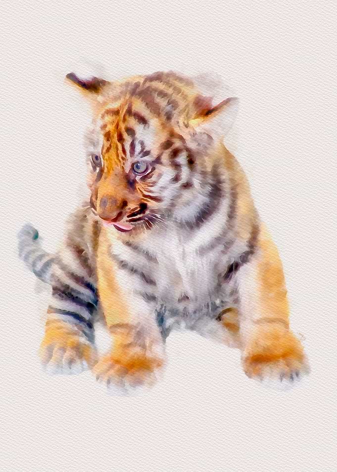 Cute Baby Tiger