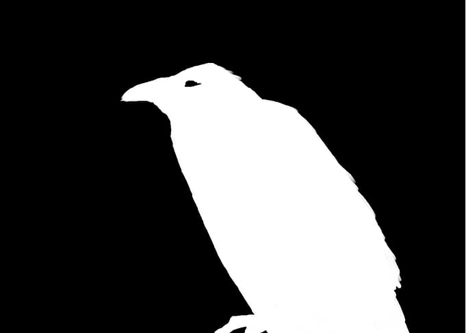 crow