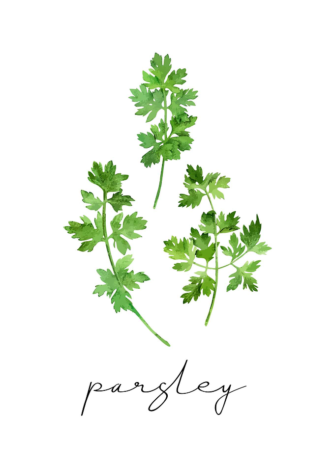 Parsley