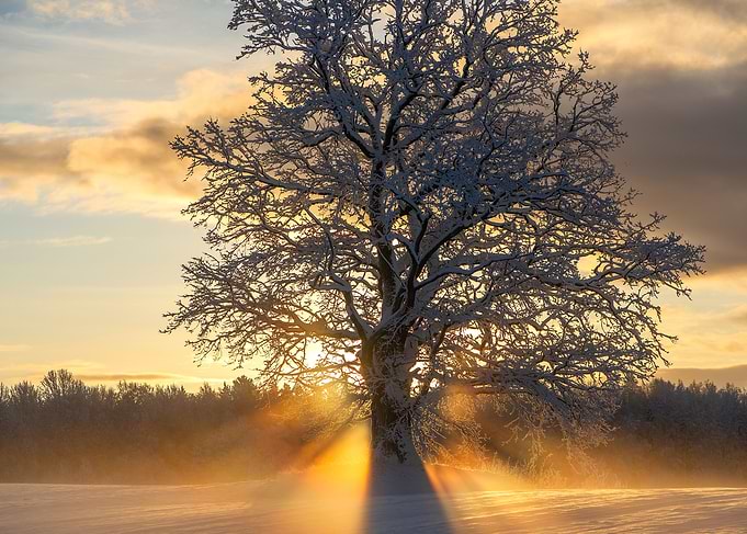 Winter sunrise landscape