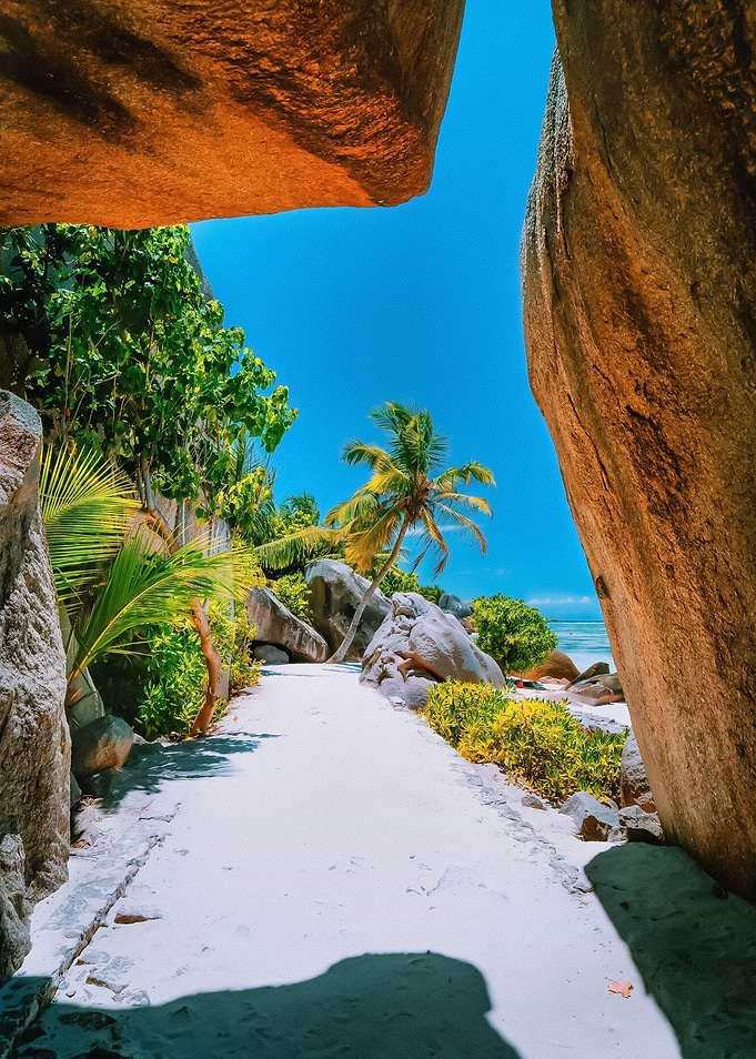 Tropical