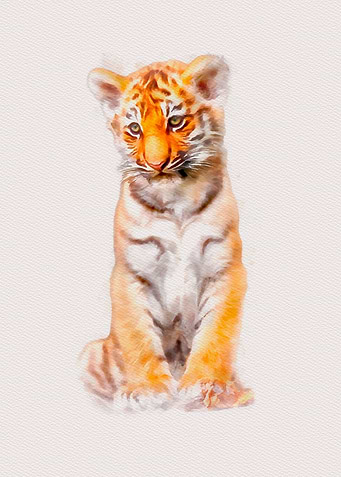 Baby Tiger