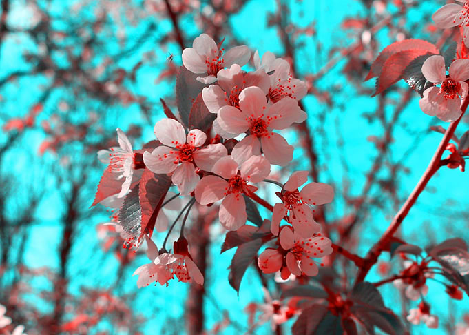 Spring