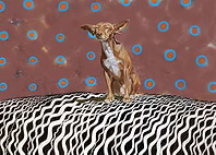 Alba painted background