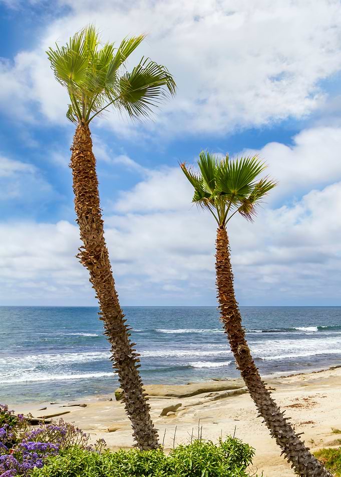 La Jolla Seascape