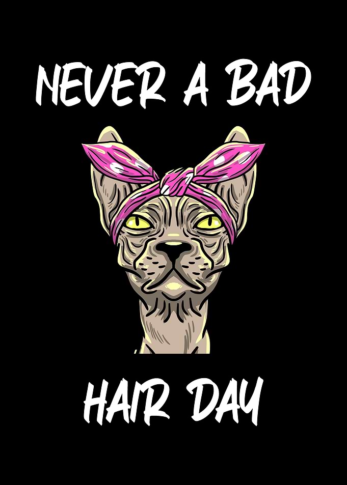 Never A Bad Hairday Cat
