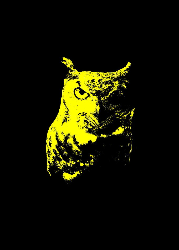 Animal Painting Owl