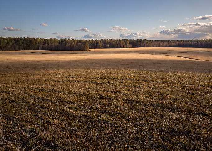 The Spring Field