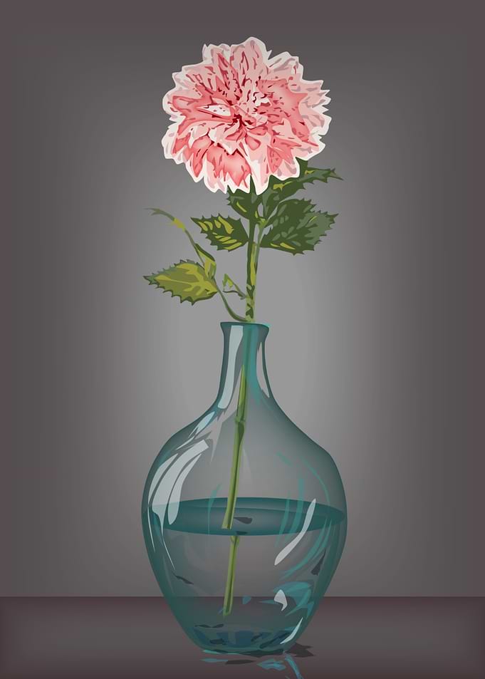 flowers still life