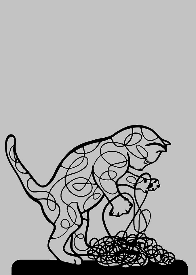 Playing Cat