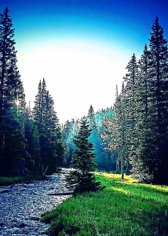 Nature 64