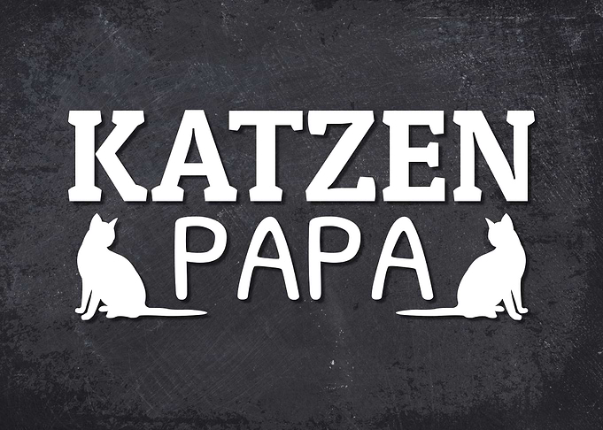 Katzen Papa Hauskatze