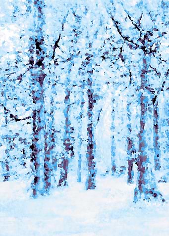 Winter Woodland