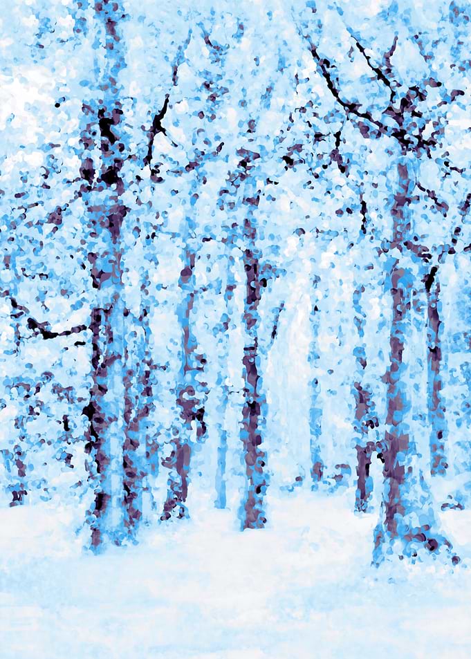 Winter Woodland