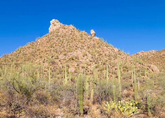 Arizona Desert Scenery