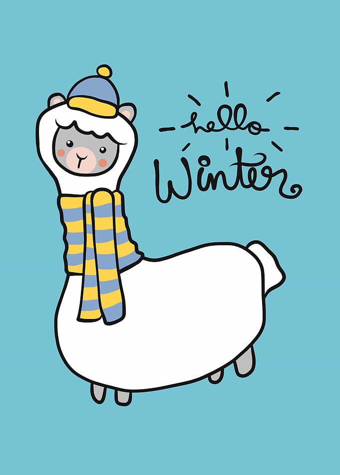 Llama male winter