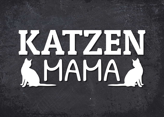 Katzen Mama Hauskatze