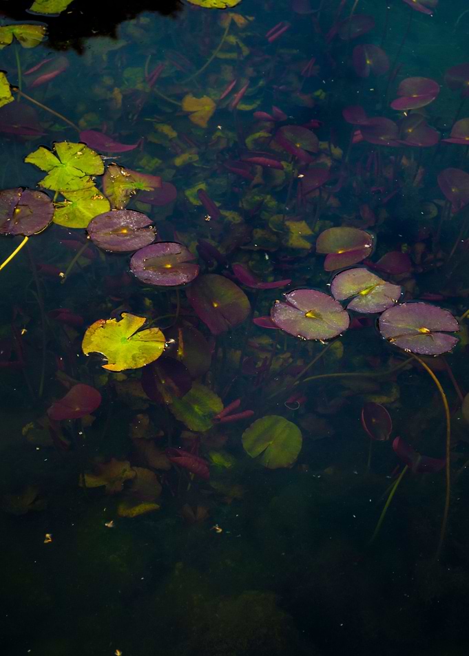 Nature and Water