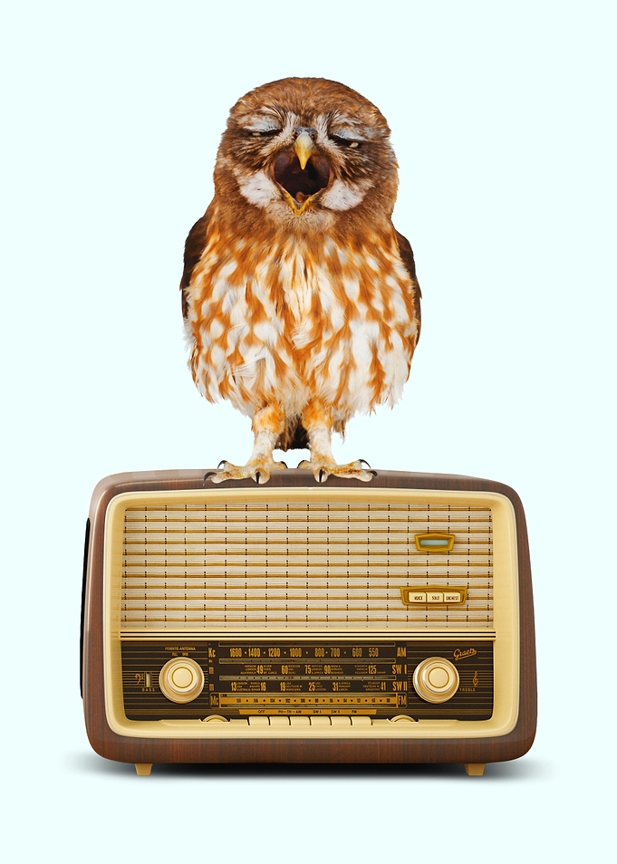 Singing Owl