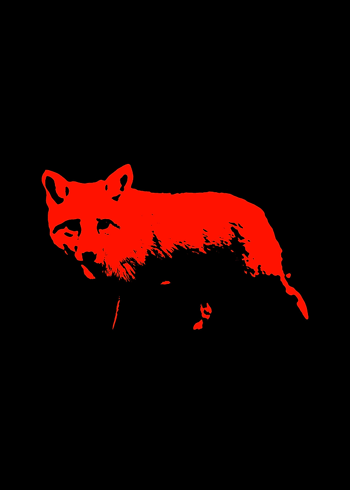 Animal Painting Fox