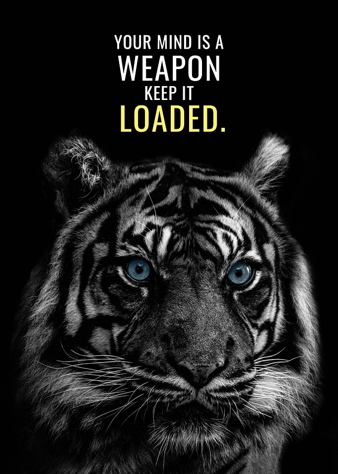 Keep your Mind Loaded