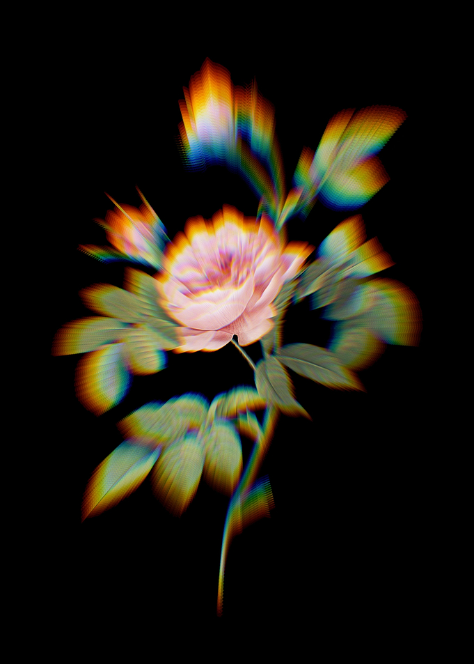 Prism Pink Rose Turbine